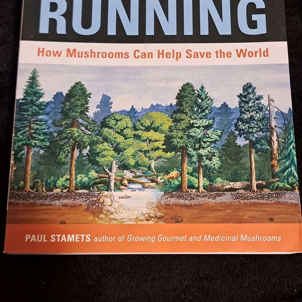 Mycelium Running Book by Paul Stamets
